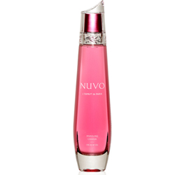 NUVO L`ESPRIT DE PARIS